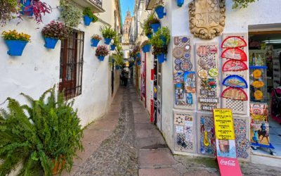 Calleja de las Flores