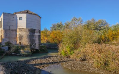 Molino de San Antonio