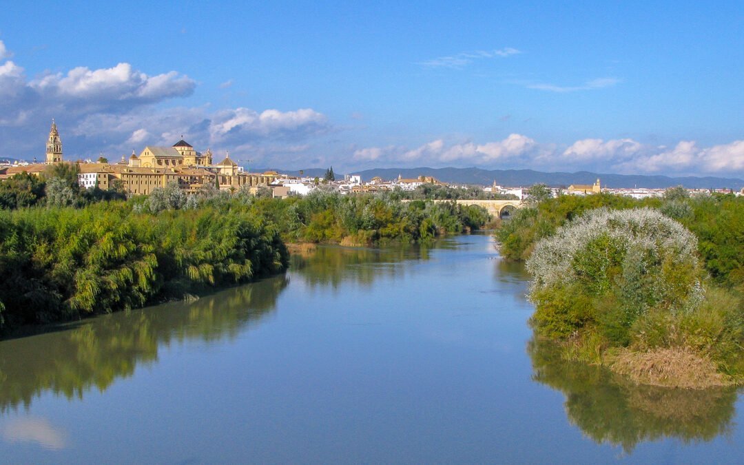 Sotos de la Albolafia